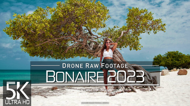 【5K】Drone RAW Footage | This is BONAIRE & SABA 2023 | Netherlands Antilles | UltraHD Stock Video