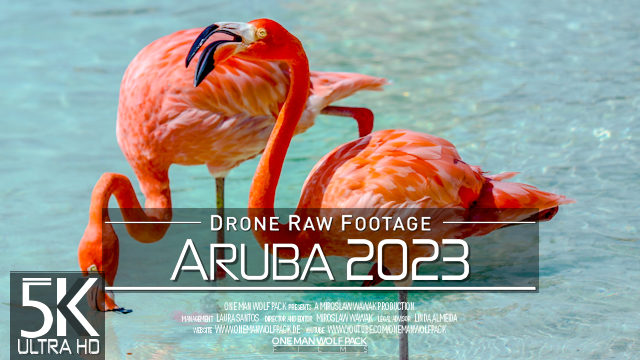 【5K】Drone RAW Footage | This is ARUBA 2023 | Netherlands Antilles | UltraHD Stock Video