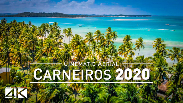 【4K】Praia dos Carneiros from Above - Caribbean of BRAZIL 2020 | Cinematic Wolf Aerial™ Drone Film