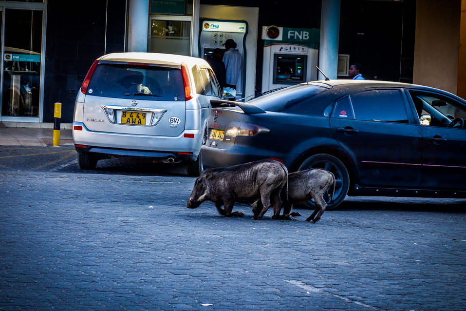 Kasane (Botswana) © One Man Wolf Pack