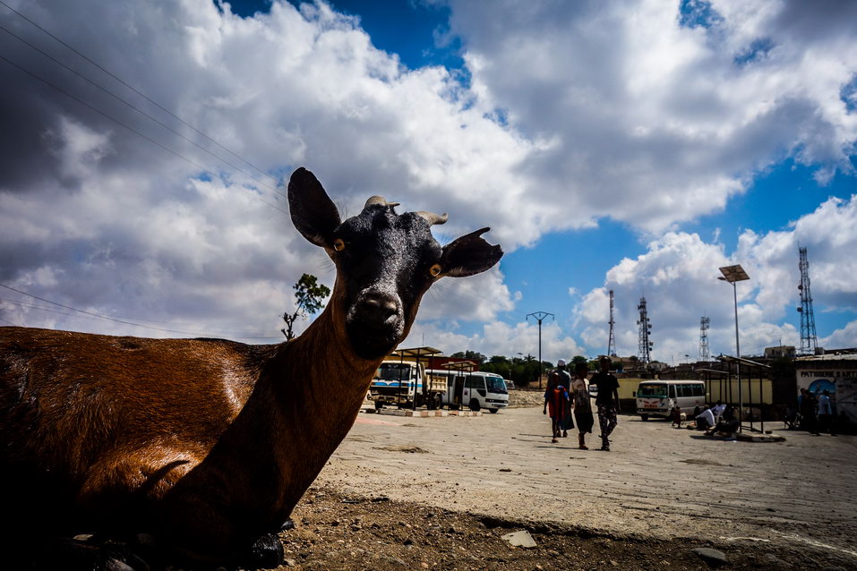 Arta (Djibouti) © One Man Wolf Pack