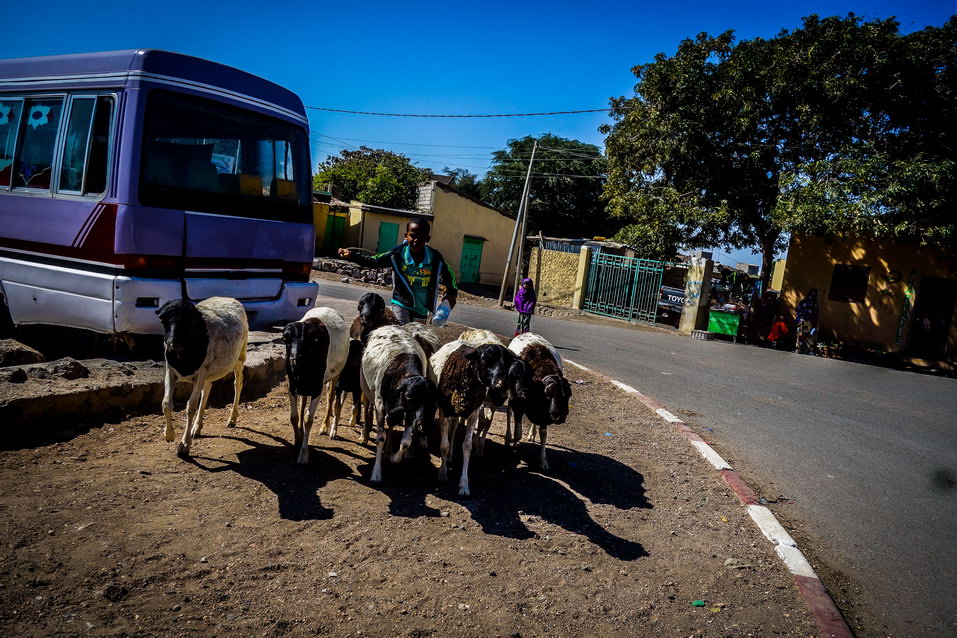Arta (Djibouti) © One Man Wolf Pack