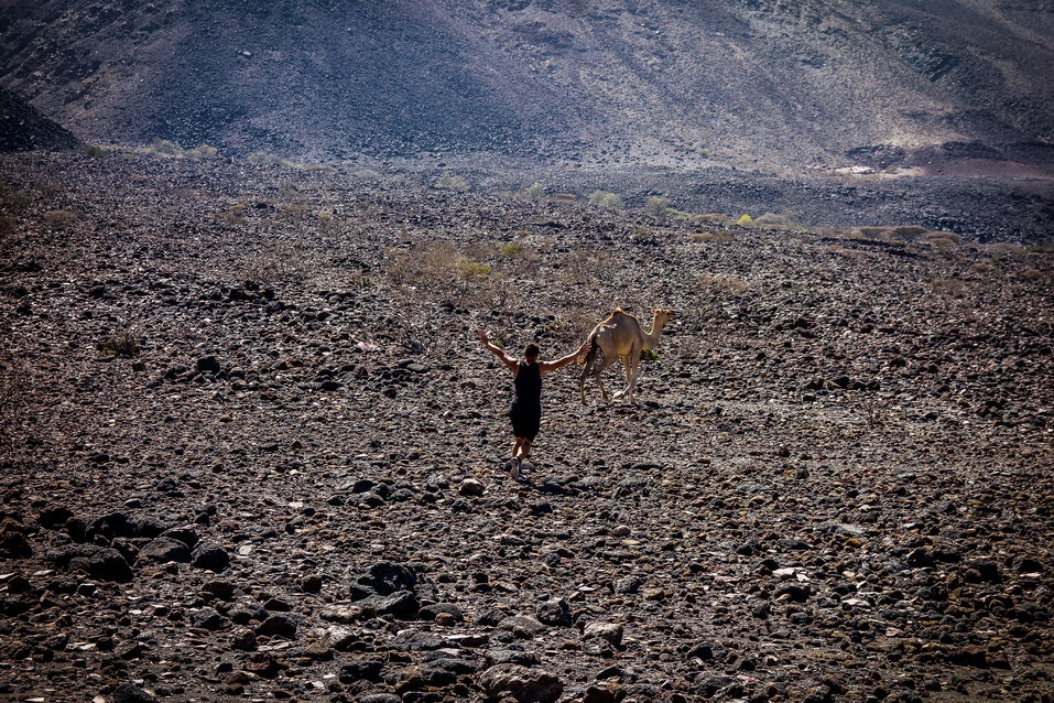 Lake Ghoubet (Djibouti)