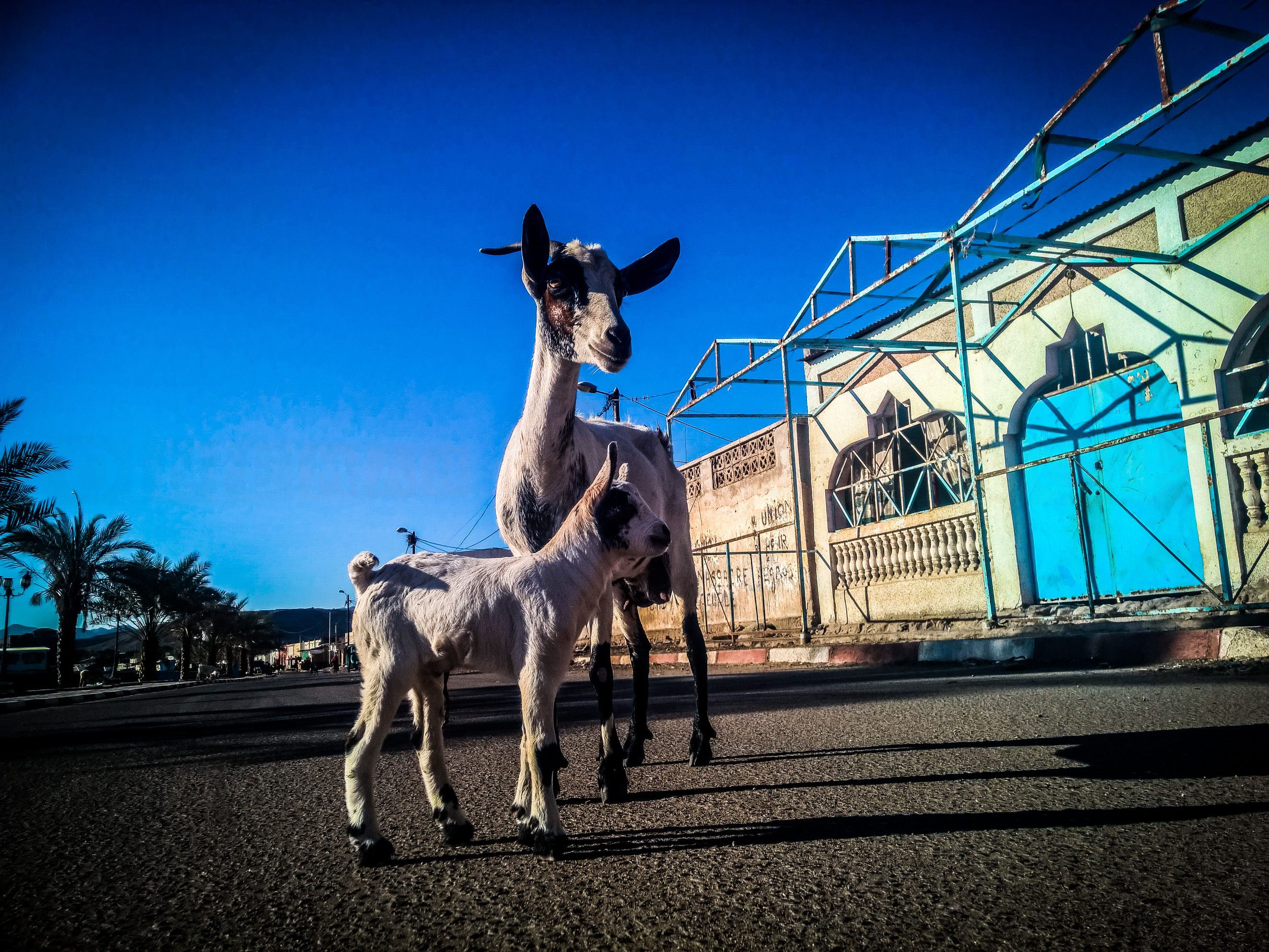 Tadjoura (Djibouti) © One Man Wolf Pack