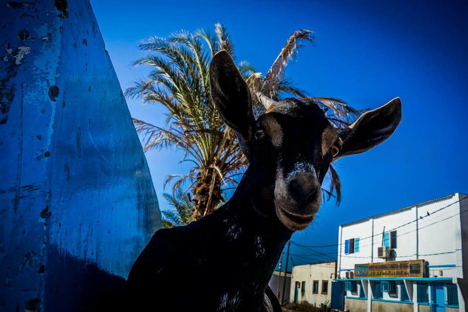 Tadjoura (Djibouti) © One Man Wolf Pack