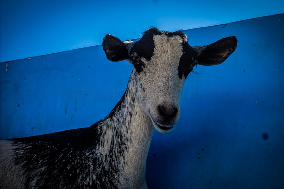 Tadjoura (Djibouti) © One Man Wolf Pack