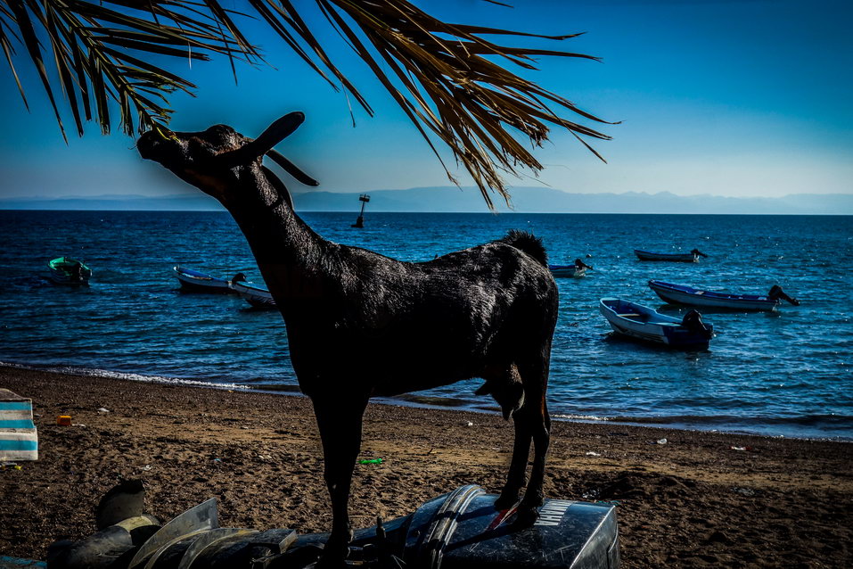 Tadjoura (Djibouti) © One Man Wolf Pack