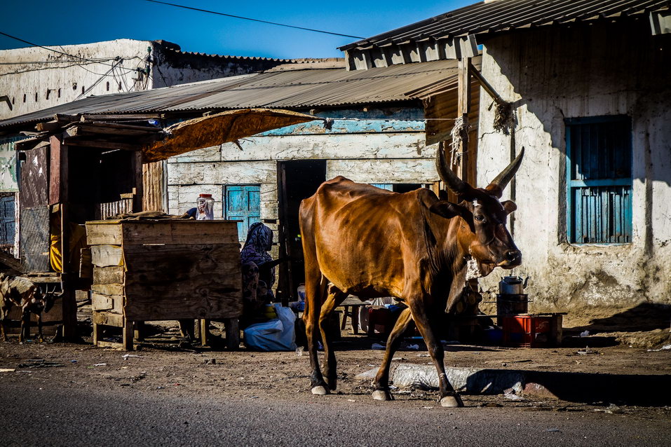 Tadjoura (Djibouti) © One Man Wolf Pack
