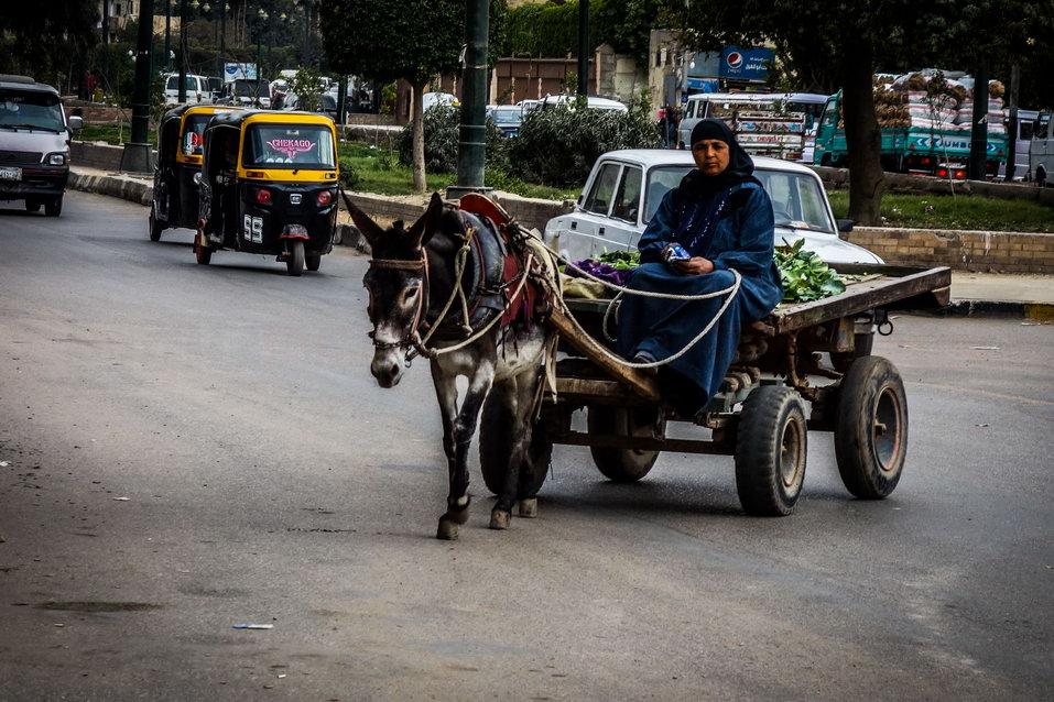 Giza (Egypt) © One Man Wolf Pack