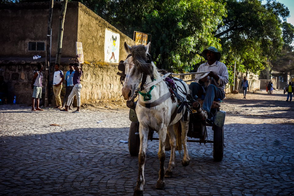 Adama (Ethiopia) © One Man Wolf Pack