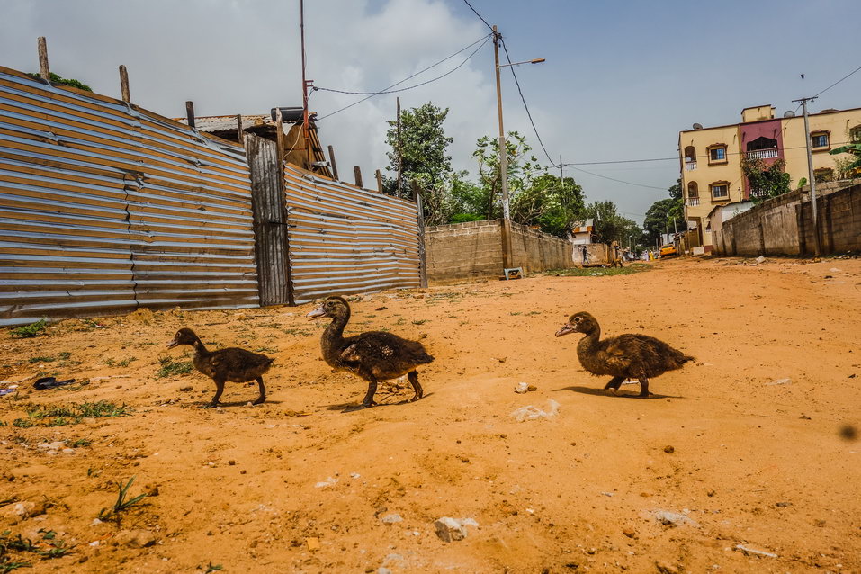 Serekunda (Gambia) © One Man Wolf Pack
