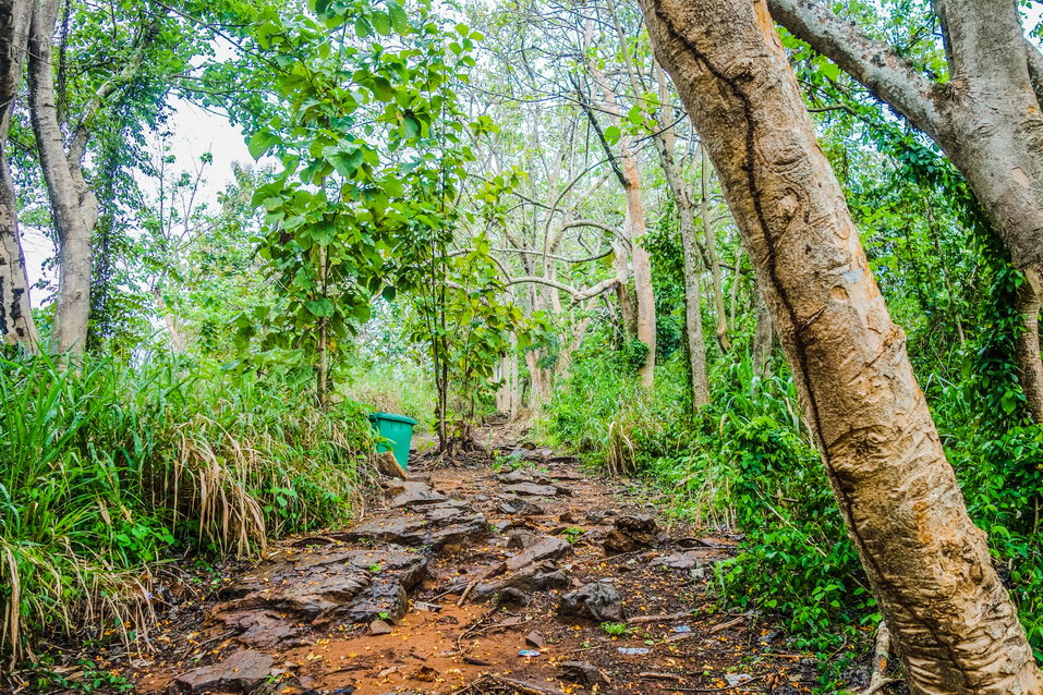 Boti (Ghana) © One Man Wolf Pack