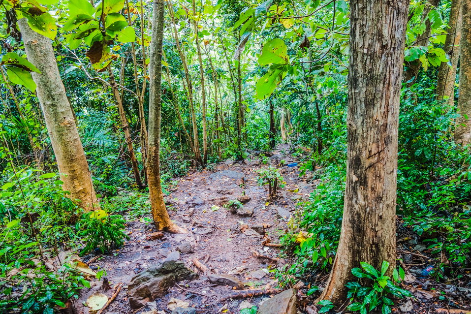 Boti (Ghana) © One Man Wolf Pack