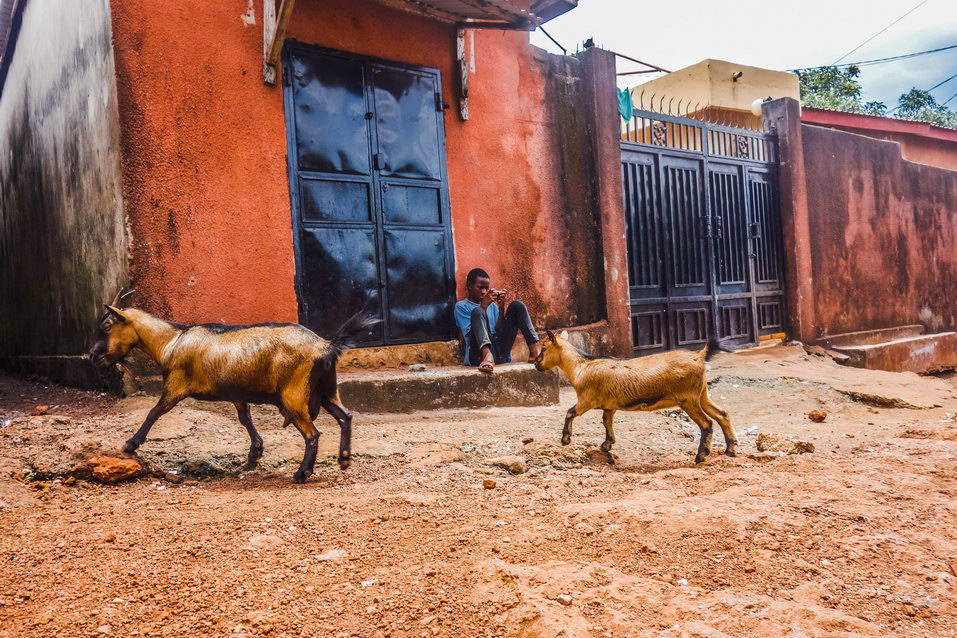 Conakry (Guinea) © One Man Wolf Pack