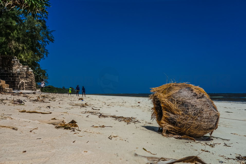 Mombasa (Kenya) © One Man Wolf Pack