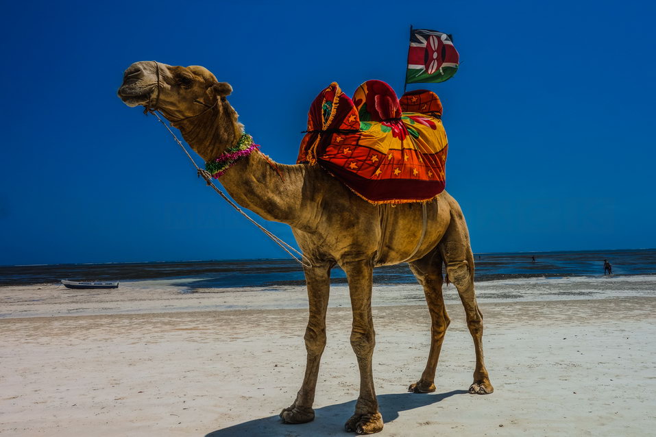 Mombasa (Kenya) © One Man Wolf Pack