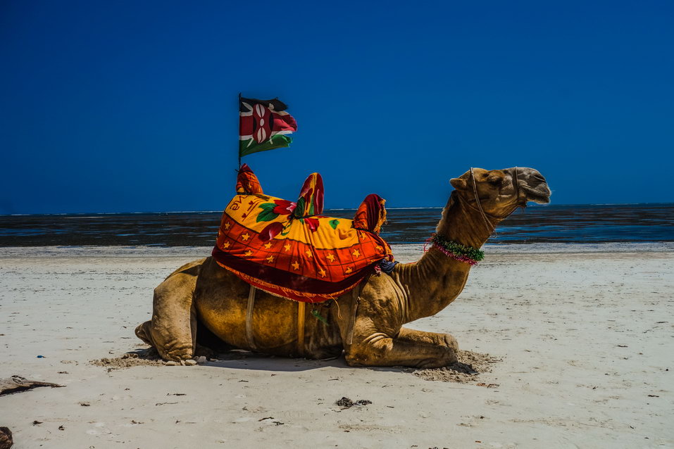 Mombasa (Kenya) © One Man Wolf Pack