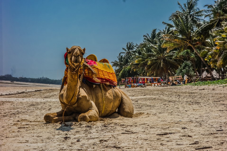 Mombasa (Kenya) © One Man Wolf Pack