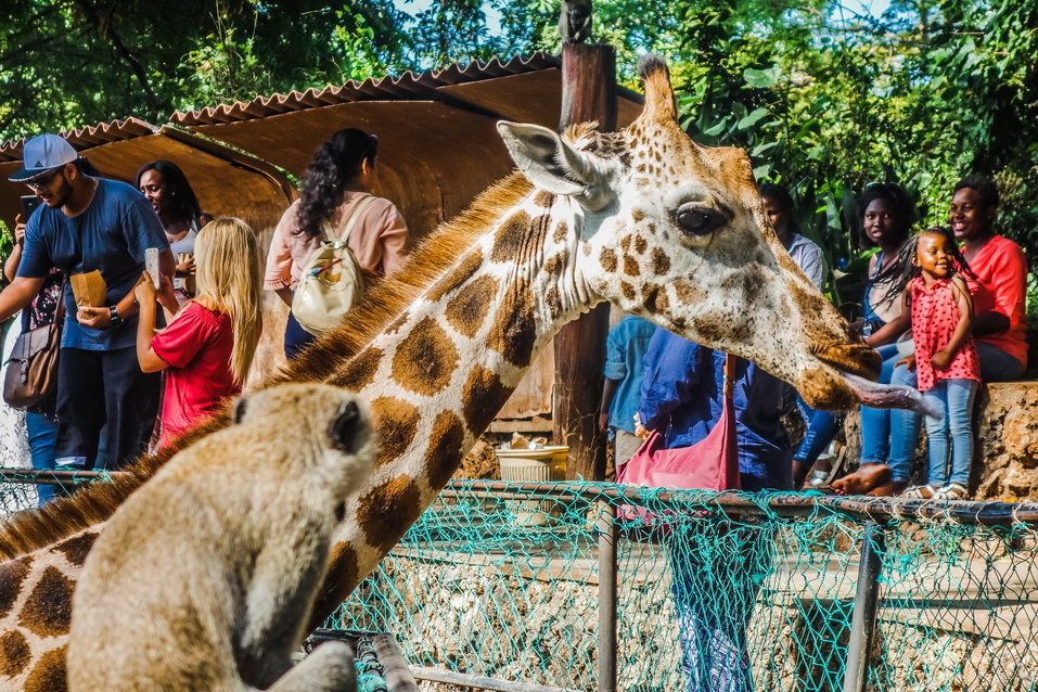 Mombasa (Kenya) © One Man Wolf Pack