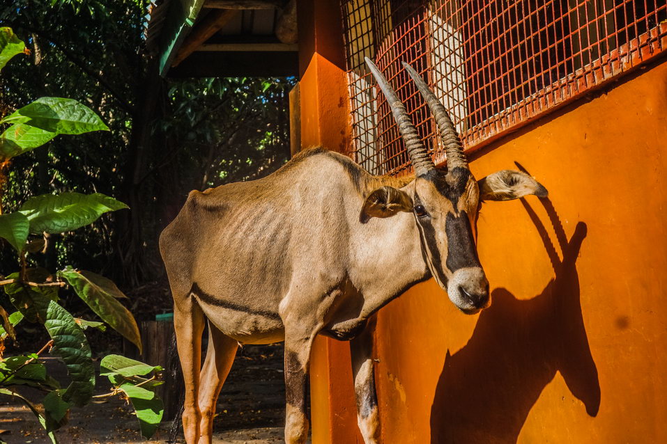 Mombasa (Kenya) © One Man Wolf Pack
