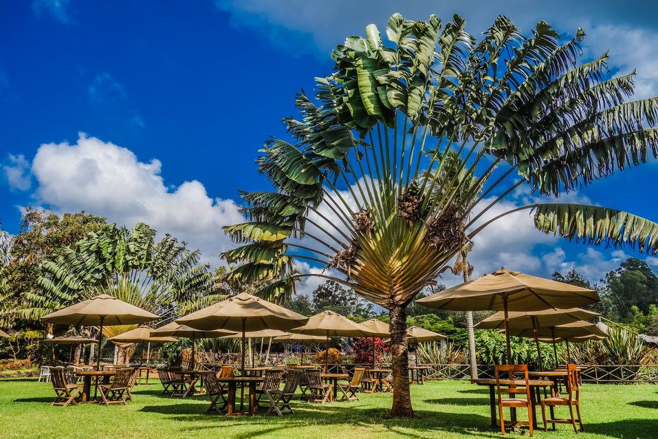 Nairobi (Kenya) © One Man Wolf Pack