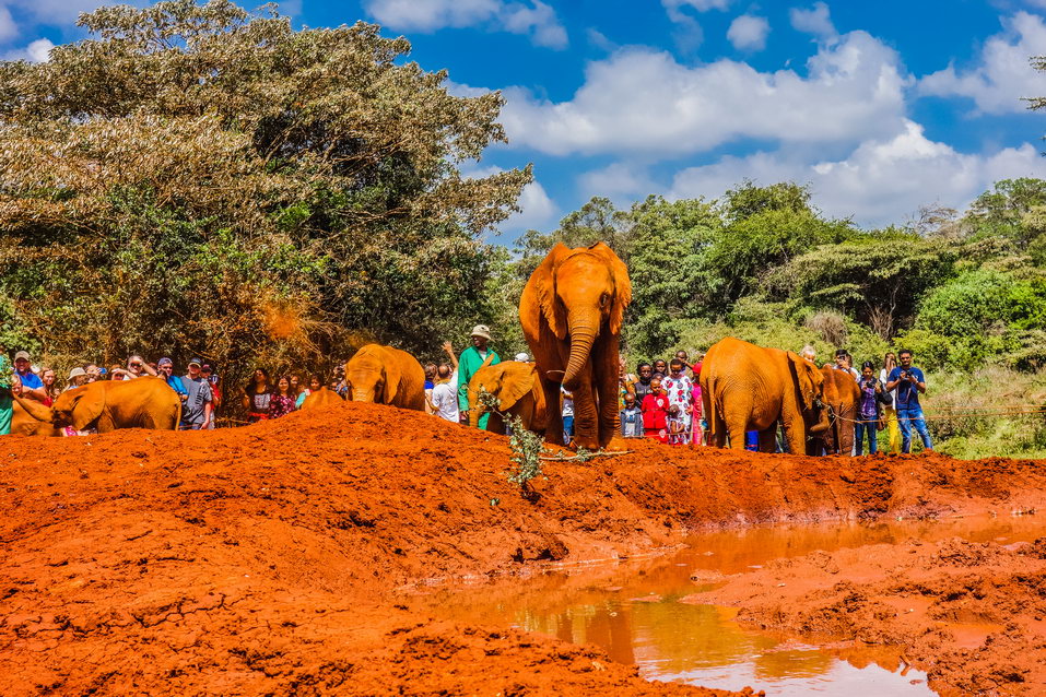 Nairobi (Kenya) © One Man Wolf Pack