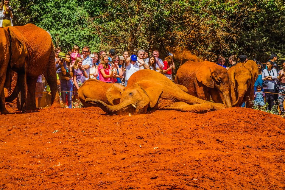 Nairobi (Kenya) © One Man Wolf Pack