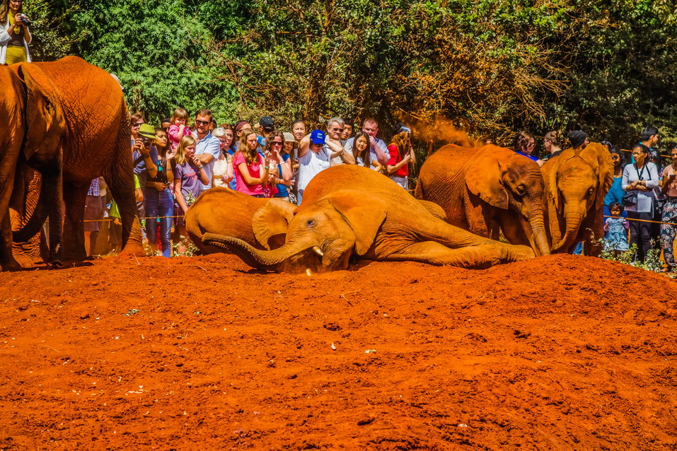 Nairobi (Kenya)