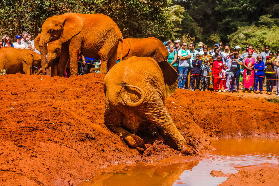 Nairobi (Kenya) © One Man Wolf Pack