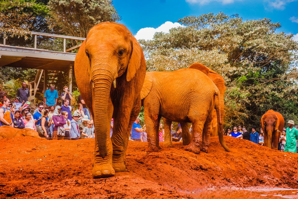 Nairobi (Kenya) © One Man Wolf Pack