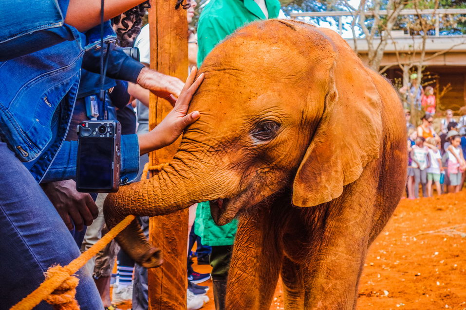 Nairobi (Kenya) © One Man Wolf Pack