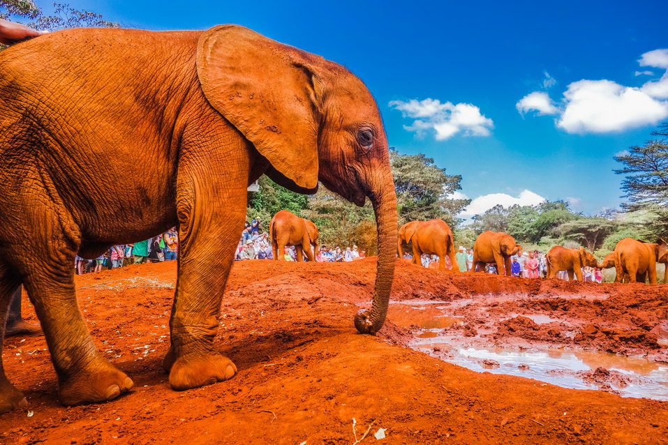 Nairobi (Kenya) © One Man Wolf Pack