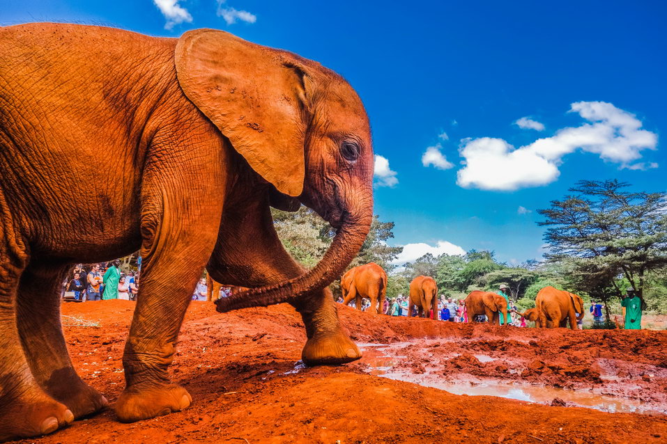 Nairobi (Kenya) © One Man Wolf Pack