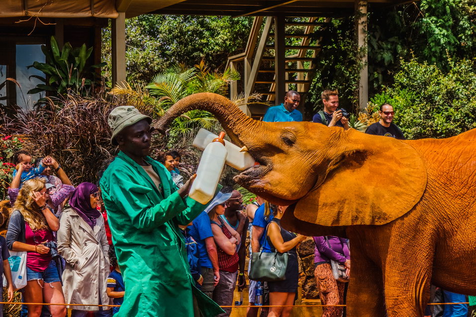 Nairobi (Kenya) © One Man Wolf Pack
