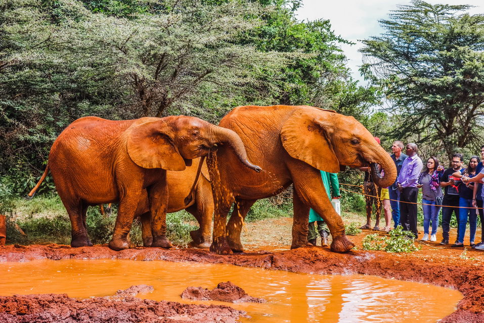 Nairobi (Kenya) © One Man Wolf Pack