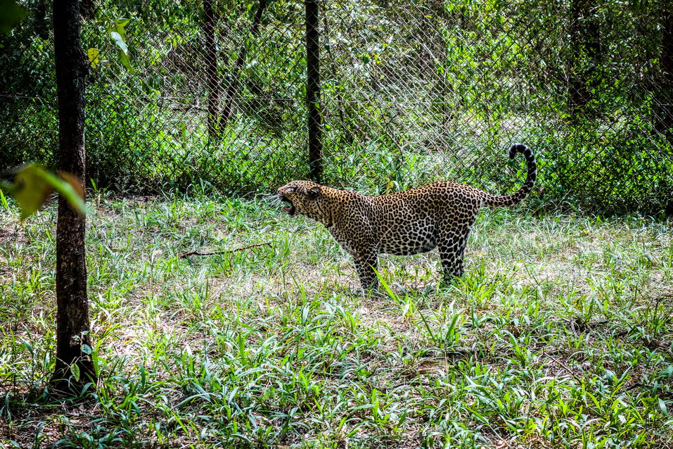Nairobi (Kenya) © One Man Wolf Pack