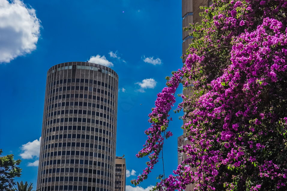 Nairobi (Kenya) © One Man Wolf Pack