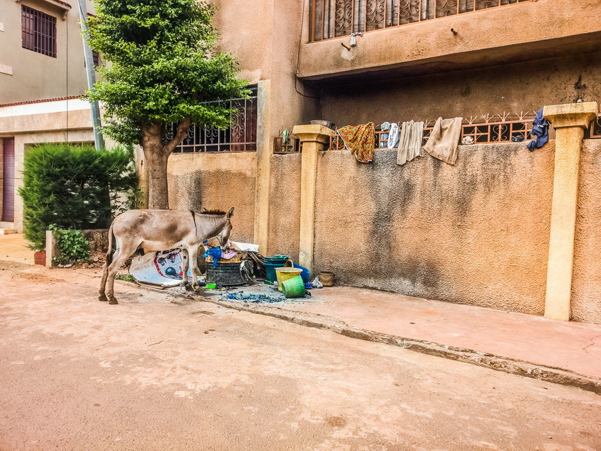 Bamako (Mali) © One Man Wolf Pack