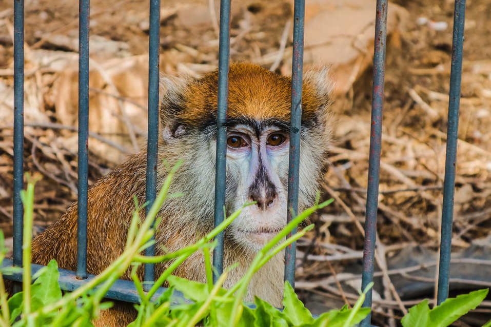 Bamako (Mali) © One Man Wolf Pack