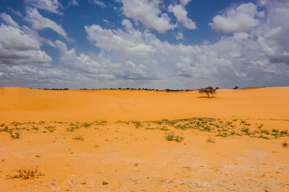 Mauritania itself