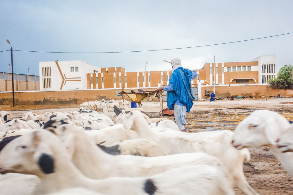Nouakchott (Mauritania) © One Man Wolf Pack