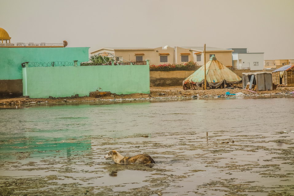 Nouakchott (Mauritania) © One Man Wolf Pack