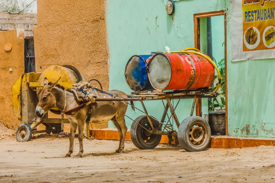 Nouakchott (Mauritania) © One Man Wolf Pack