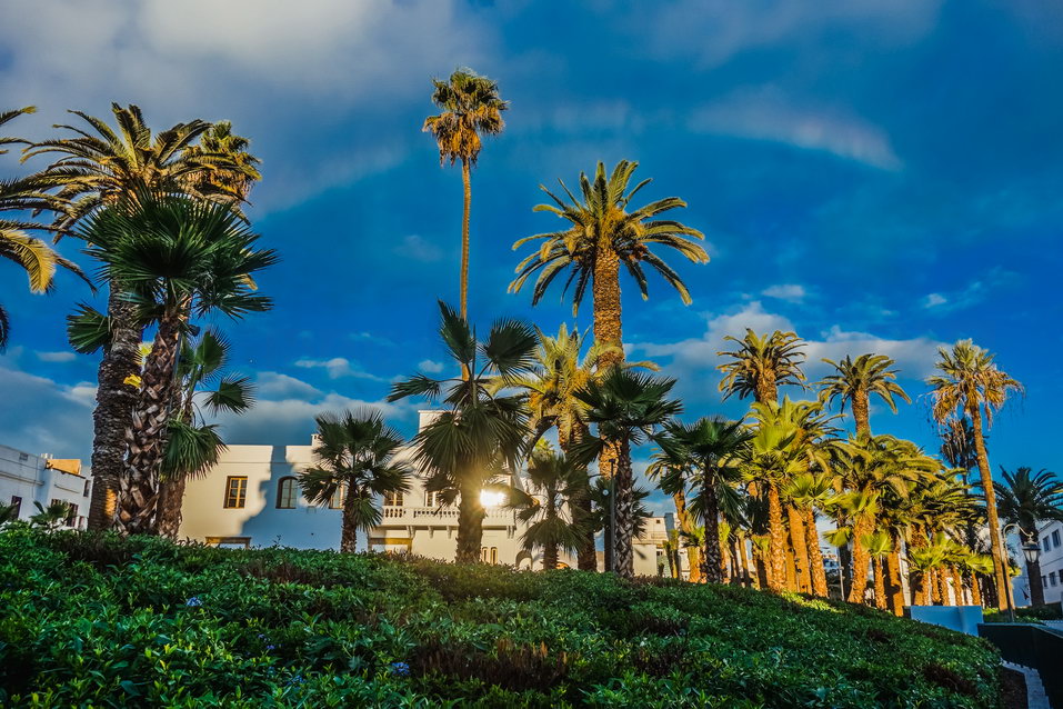 Casablanca (Morocco) © One Man Wolf Pack