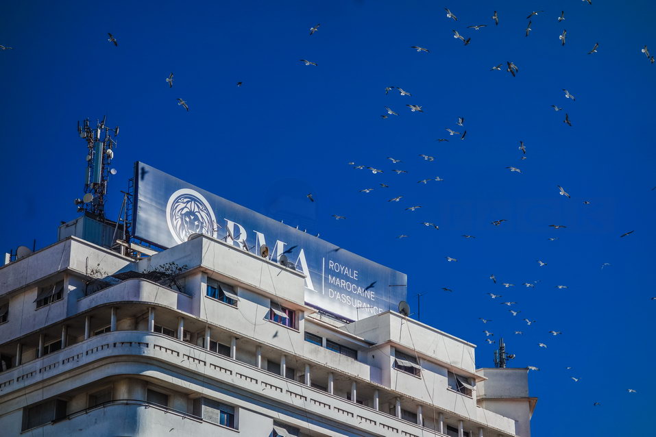 Casablanca (Morocco) © One Man Wolf Pack