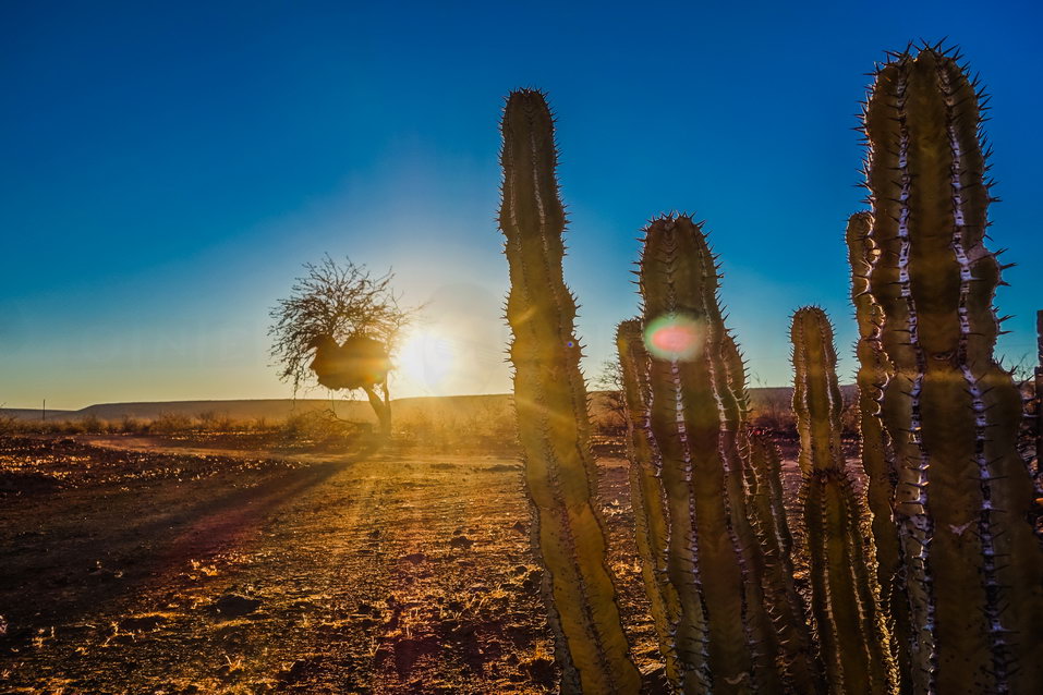 Maltahoehe (Namibia) © One Man Wolf Pack