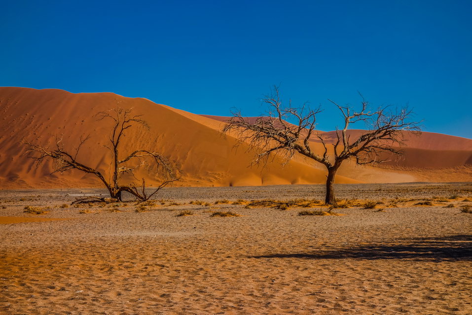 Sossusvlei (Namibia) © One Man Wolf Pack