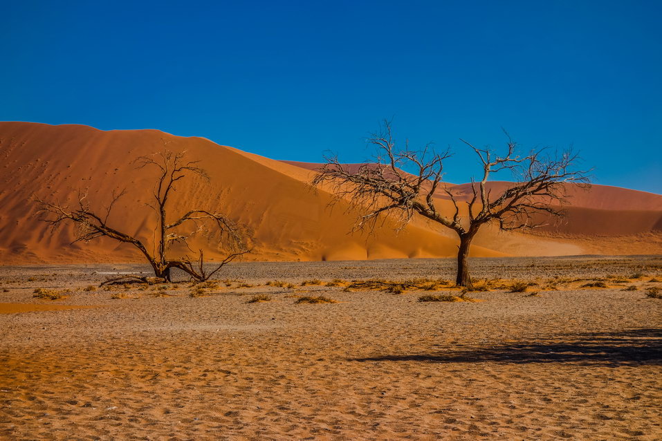 Sossusvlei (Namibia)