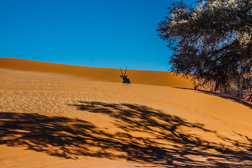 Sossusvlei (Namibia) © One Man Wolf Pack