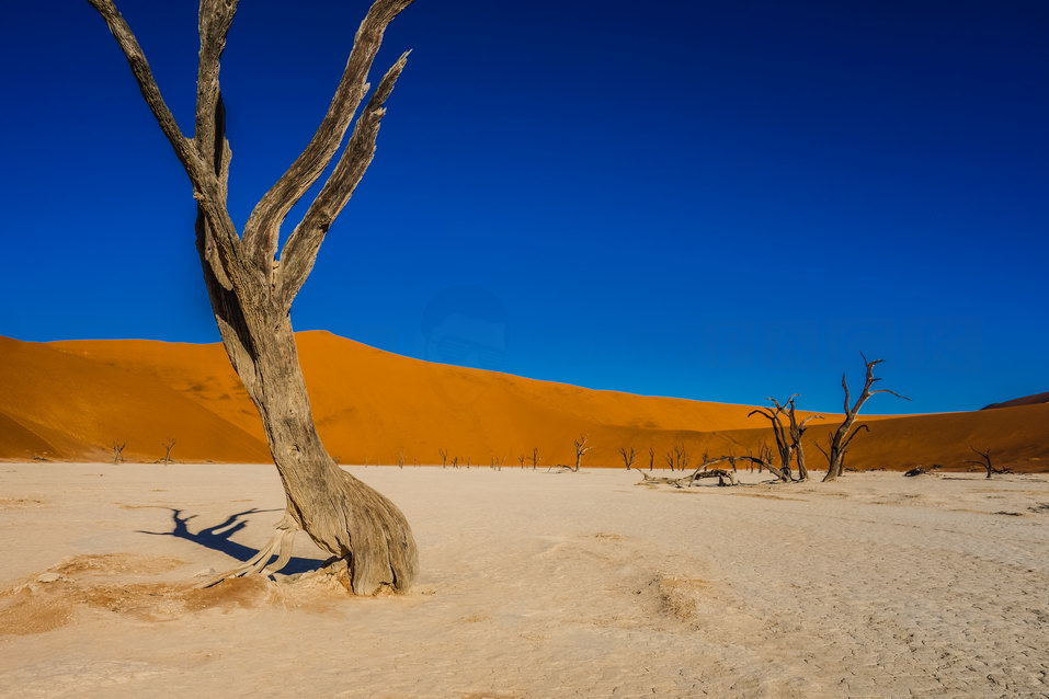 Sossusvlei (Namibia) © One Man Wolf Pack